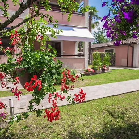 Sophia Apartment Kukci